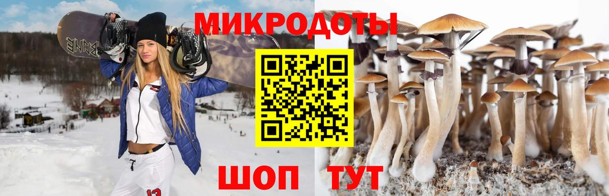 Галлюциногенные грибы Psilocybine cubensis  Вход с VPN  Апатиты 